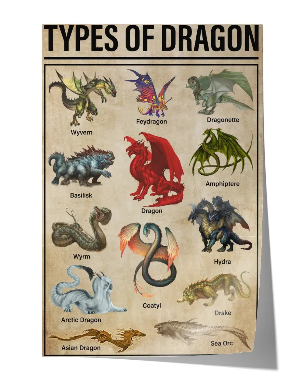 Types of dragon Wall Decor Artwork Print Poster Wall Art Print Home Decor Vintage - Satin Portrait Poster