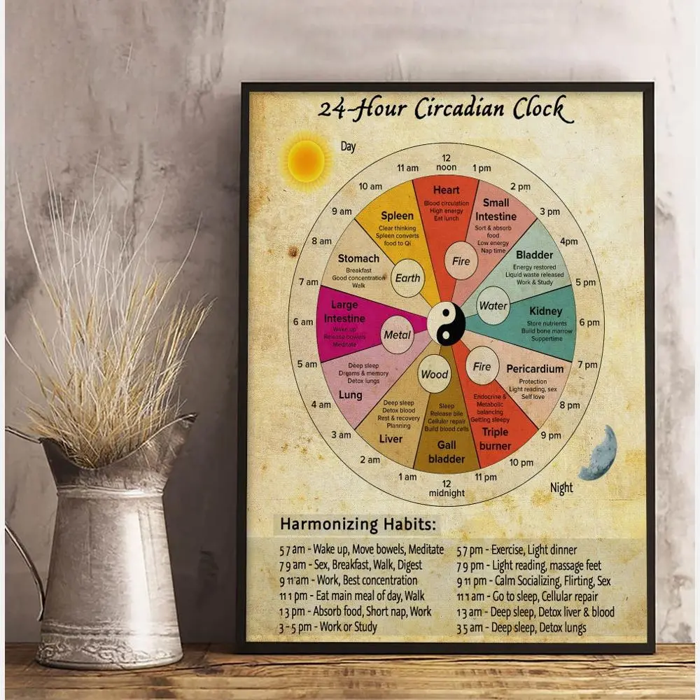 24 Hour Circadian Clock Poster Or Canvas Organ Clock Wall Art Chinese Medicine Healthy Wall Decor Vintage Knowledge Art Print