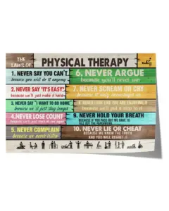 The Laws Of Physical Therapy Awesome Therapist Gift – Poster