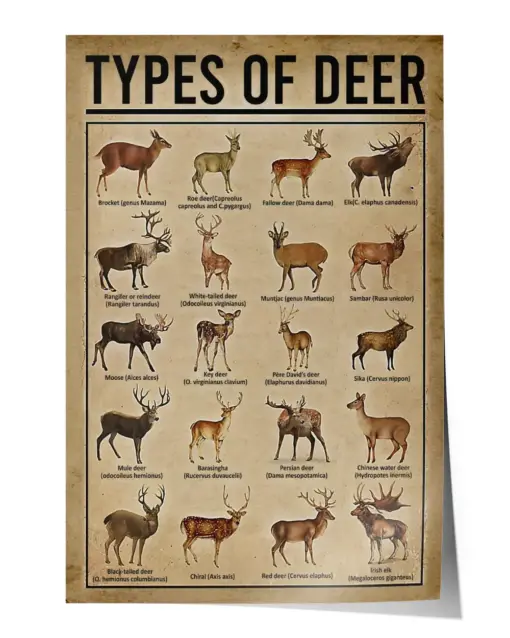 Types Of Deer Wall Decor Artwork Print Poster Wall Art Print Home Decor Vintage - Satin Portrait Poster