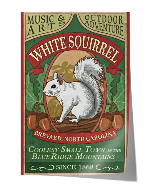 White Squirrel Wall Decor Artwork Print Poster Wall Art Print Home Decor Vintage - Satin Portrait Poster
