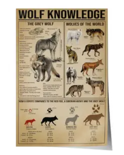 Wolf Knowledge The Grey Wolf Wolves Of The World Poster