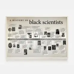 A History Of Black Scientists Poster Canvas Black History Month Art Black Scientist Knowledge Poster Black & Proud African Scientists