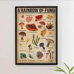 A Rainbow Of Fungi Vintage Poster Knowledge Poster Fungi Types Retro Print Fungi Retro Wall Art Fungi Lover Gifts Home Wall Decor