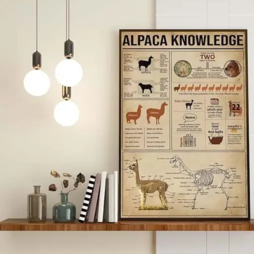 Alpaca Knowledge Print Alpaca Is Llamas Anatomy Of A Alpaca Alpaca Information Alpaca Lover Gift Alpaca Alpaca Wall Print