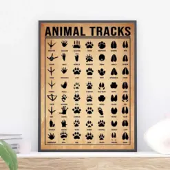 Animal Tracks Knowledge Poster Animal Claws Vintage Print Animal Print Claws Art Gift For Animal Lovers Animal Wall Hanging Home Decor