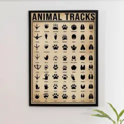 Animal Tracks Vintage Poster Animal Tracks Art Track Art Print Knowledge Poster Animal Print Animal Art Animal Lover Gift Home Decor