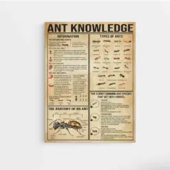 Ant Knowledge Poster Ant Canvas Types Of Ants Poster Educational Poster Classroom Wall Decor Ant Love Gift Christmas Canvas