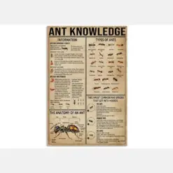 Ant Knowledge Poster Types Of Ants Poster The Anatomy Of An Ants Ant Canvas Art Ant Wall Art Ant Art Print Ant Gifts Ant Lover Gift