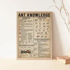 Ant Knowledge Poster Types Of Ants Vintage Poster Ant Lover Gift Ant Art Print Ant Gifts Gift For Animal Lovers Classroom Wall Decor