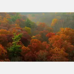 Autumn Foliage Rolling Hills Landscape Photography High Rocks Vista Fall Color Bucks County Pennsylvania Ralph Stove State Park Photograph