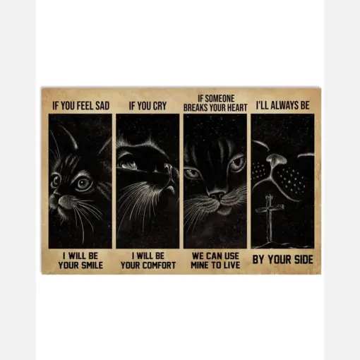 Black Cat Night Sky If You Feel Sad