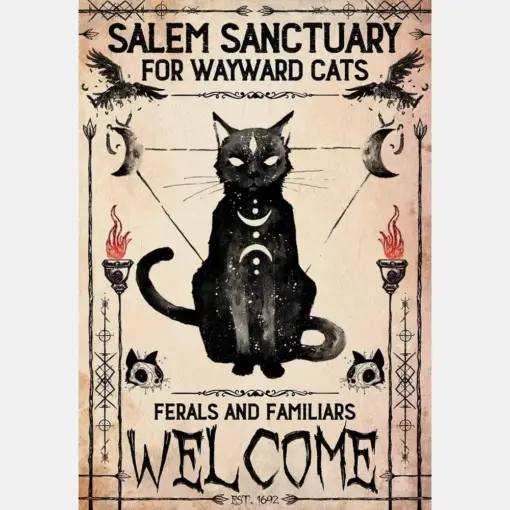 Black Cat Wayward Salem Sanctuary For Wayward Cats'S