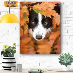 Border Collie Dog Canvas Prints - Gifts For Dog Lover | Puppies Home Room Wall Art