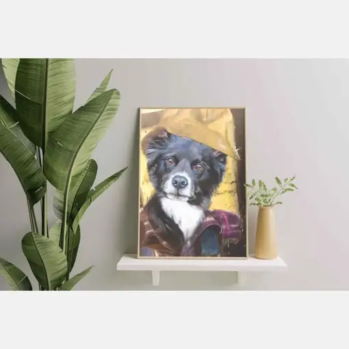 Border Collie Dog Plumber