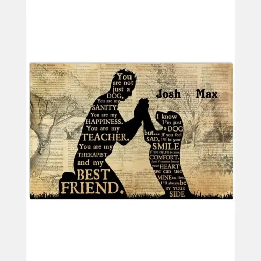 Boy And Dog Silhouette