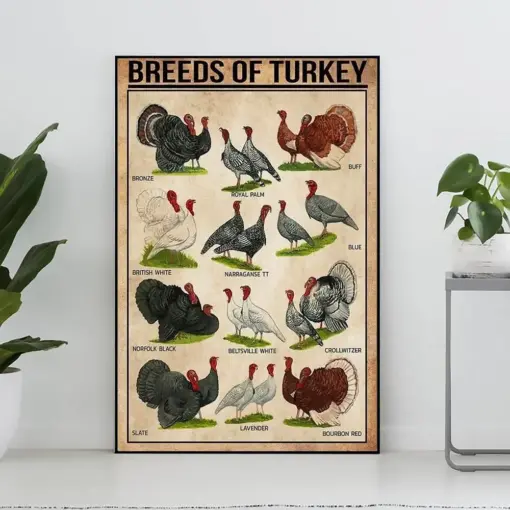 Breeds Of Turkey Poster Turkey Lover Gift Turkey Art Print Knowledge Poster Turkey Art Home Decor Education Wall Art Farmhouse Decor