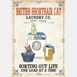 British Short Hair Cat Laundry Company