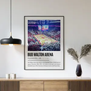 Bud Walton Arena Seat View Arkansas Razorbacks Modern Basketball Wall Art Home Decor Game Day Keepsake Memory