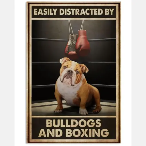 Bulldogs And Boxing