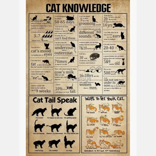 Cat Knowledge