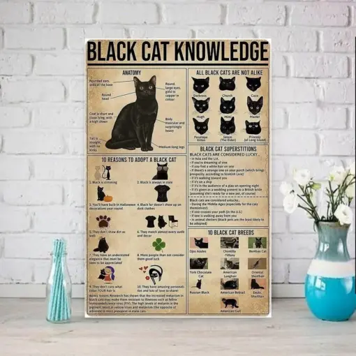 Cat Knowledge Poster , Black Cat Wall Art - Black Cat Print Black Cat Artwork - Home Decor