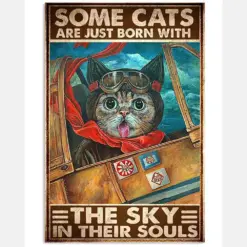 Cats Pilot Born Sky Soul It Phi Not