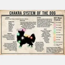 Chakra System Of The Dog Papillon