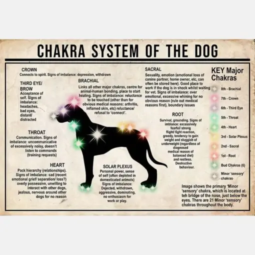 Chakra System Of The Dog Rhodesian Ridgeback