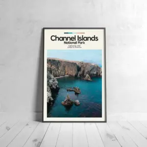 Channel Islands Poster – Oil Painting Technique | Usa National Park Wall Art | & Printed Travel Prints | Animalistic Home Decor