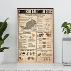 Chinchilla Knowledge Vintage Poster Chinchilla Lover Gift All About Chinchilla Knowledge Poster Home Wall Decor Education Wall Decor