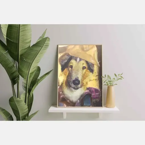 Collie Dog Plumber