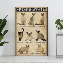 Color Of Siamese Cat Vintage Poster Siamese Cat Lover Gift Siamese Cat Art Print Knowledge Poster Home Decor Education Wall Decor