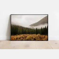 Colorado Autumn Valley Wall Art On Cottonwood Pass Buena Vista Landscape Photography Mountain Wall Print Autumn Decor