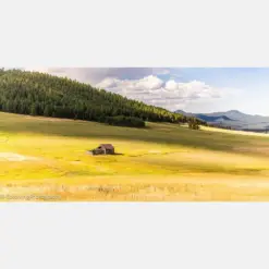 Colorado High Country Sunny Pasture Forest Puffy Clouds Photograph