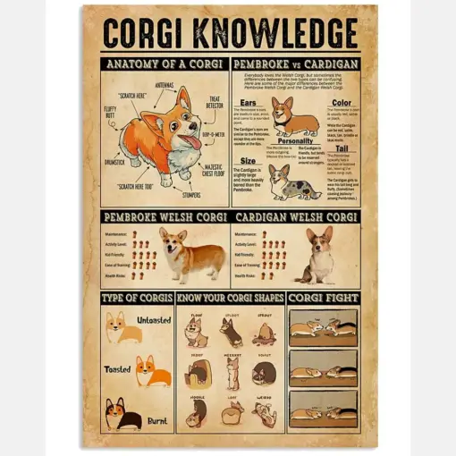Corgi Knowledge