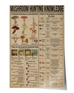 Mushroom Hunting Knowledge Poster, Vintage Mushroom Poster, Mushroom Lover, Types Of Mushroom Poster