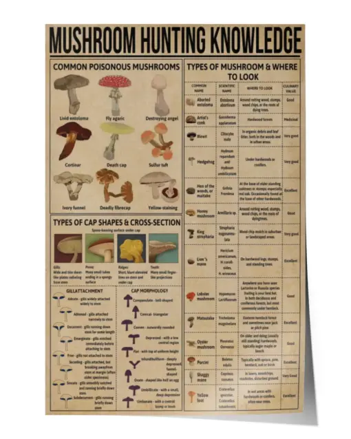 Mushroom Hunting Knowledge Poster, Vintage Mushroom Poster, Mushroom Lover, Types Of Mushroom Poster
