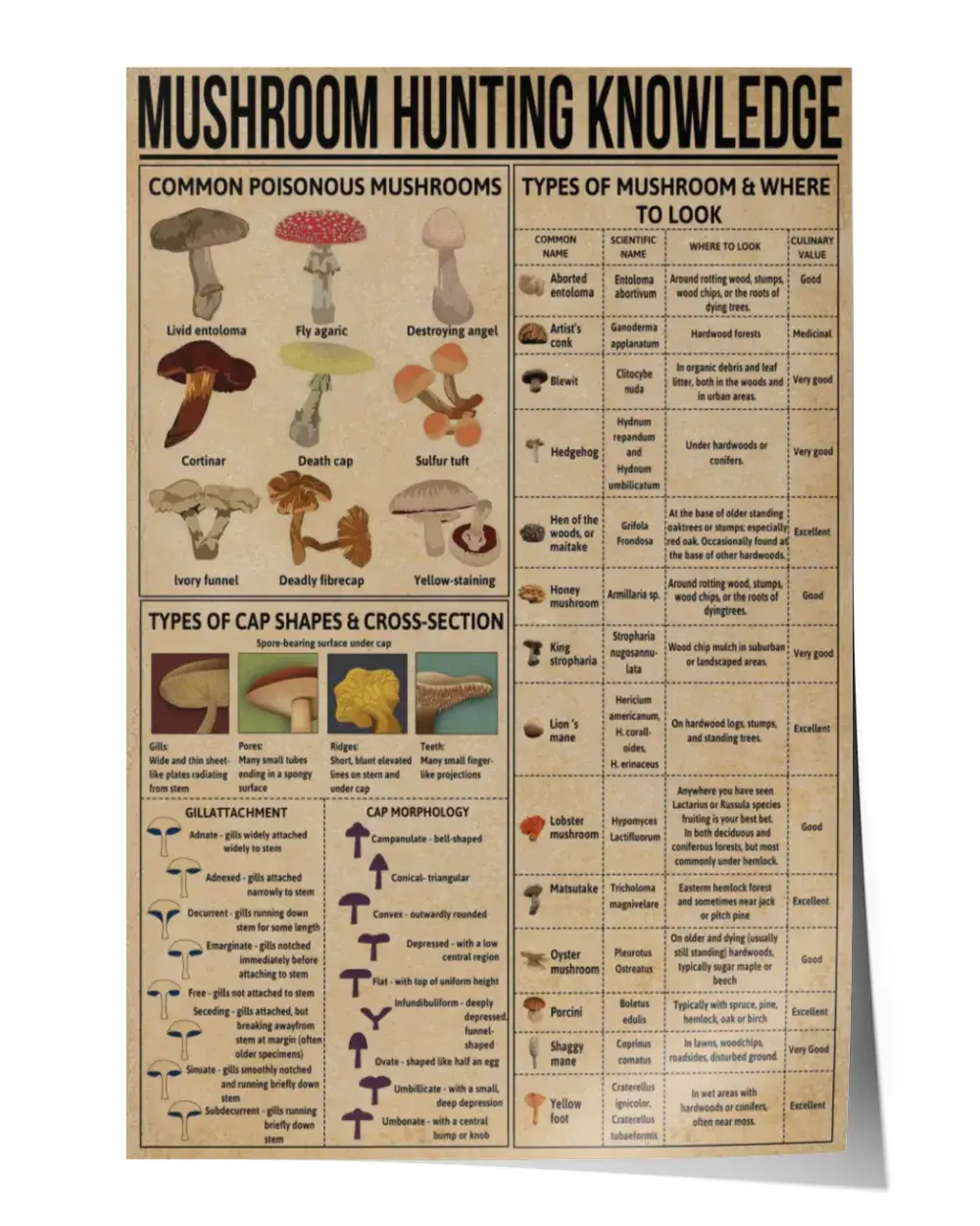Mushroom Hunting Knowledge Poster, Vintage Mushroom Poster, Mushroom Lover, Types Of Mushroom Poster 128869 Mushroom Hunting Knowledge Poster, Vintage Mushroom Poster, Mushroom Lover, Types Of Mushroom Poster