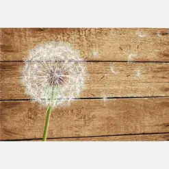 Dandelion On Vintage Landscape