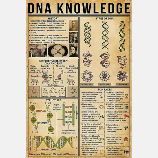 Dna Knowledge Poster Vintage Biology Science Poster Print Wall Art Pictures For Bathroom