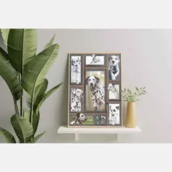 Dog Cute Dalmatian