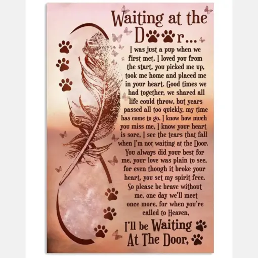 Dog Waiting At The Door