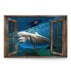 Dolphin Poster & Canvas, Funny Dolphin In The Window Wall Art, Home Decor For Dolphin Lover