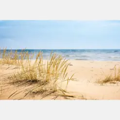 Dune Grass On Lake Michigan Coastal Wall Art Beach Scene Summer Beach House Print Michigan Photography Canvas Wall Hanging