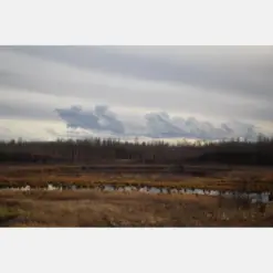 Elk Island Framed Photograph