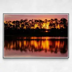 Everglades Wall Art | Everglades Print | Florida Landscape Photography | Everglades National Park | Everglades Art