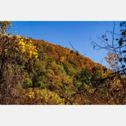 Fall View On The Trail At Falls