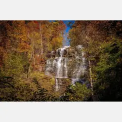 Fall View Upper Walking Bridge At Falls