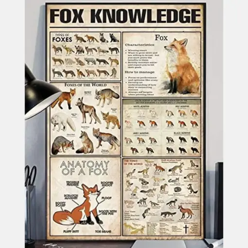 Fox Knowledge Anatomy Of A Fox